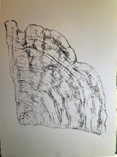 Black and white sketch of a tree stump with visible rings and texture.