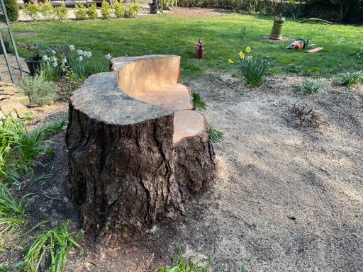 Tree stump in a garden, surrounded by grass and plants, with soil scattered around.