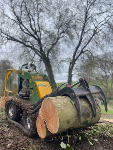 A forestry machine with a log grapple, positioned beside a fallen tree trunk.
