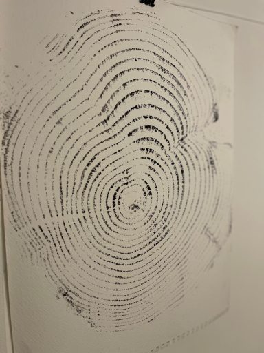 Abstract pattern of concentric lines resembling tree rings or waves.