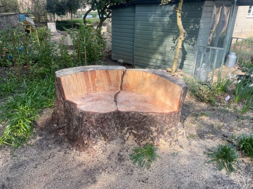 A large tree stump shaped like a bench in a garden setting.