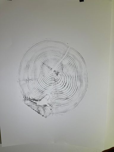 Black and white illustration of a tree ring showing annual growth patterns.